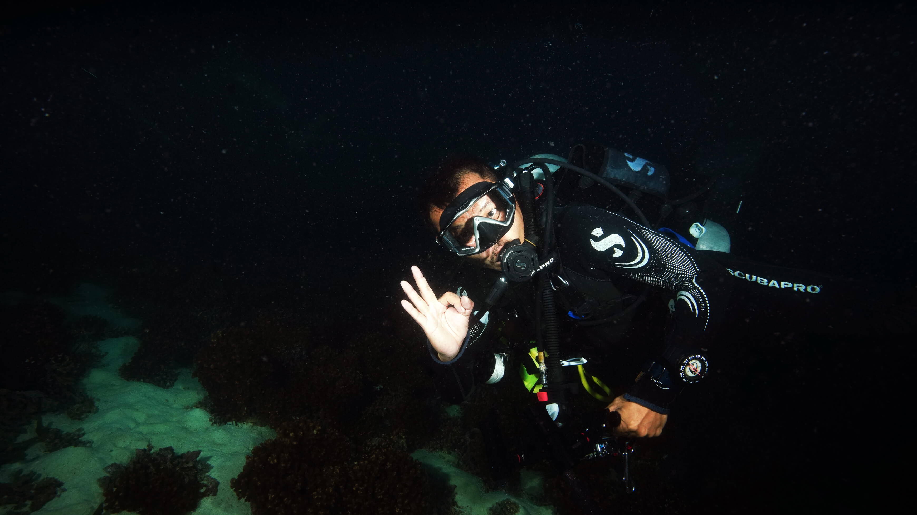 Open Water Diver