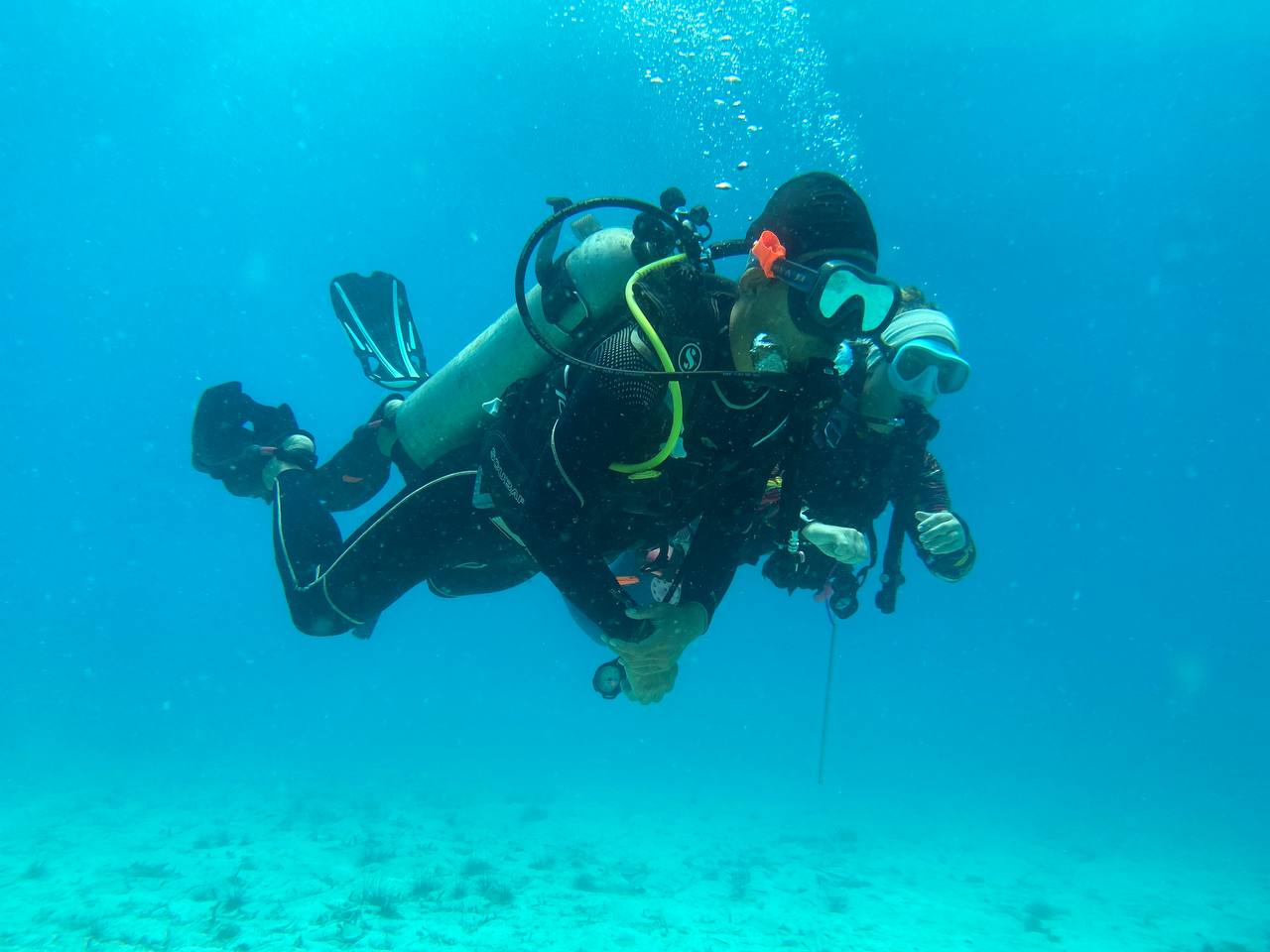 Our Dive Team or Location